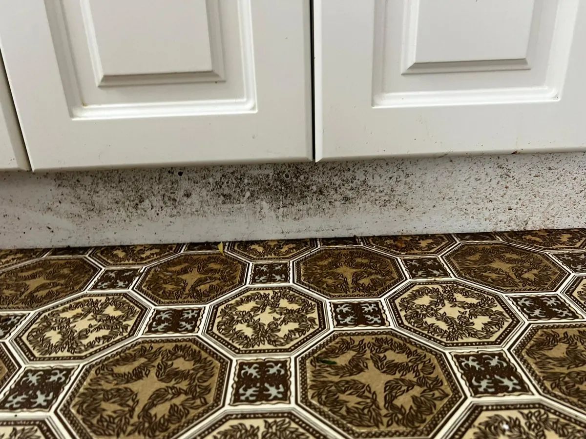 Kitchen cupboards and skirting before cleaning