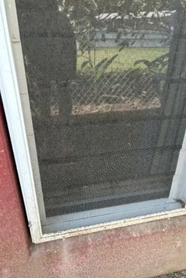 Flyscreen clogged with dust before cleaning
