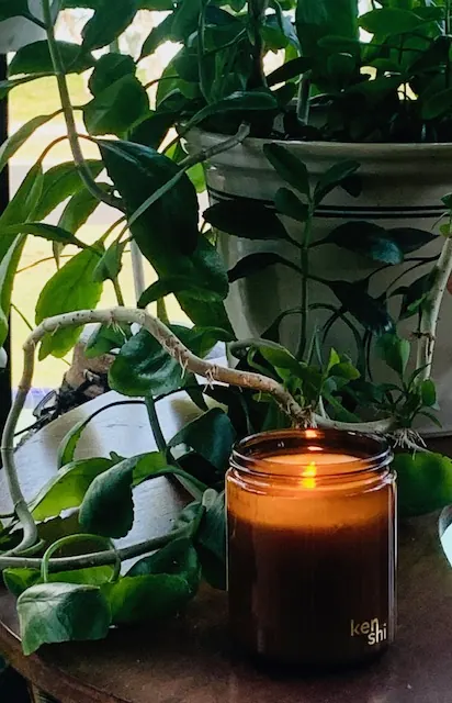 A candle glowing softly on a timber table beside trailing indoor plants, in a home that feels calm again