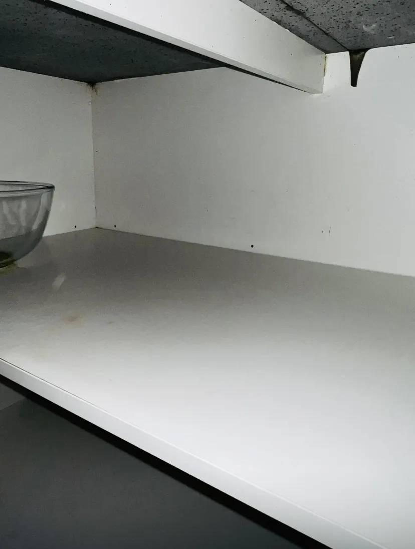 The same cupboard shelf wiped back to clean white after the end-of-lease clean