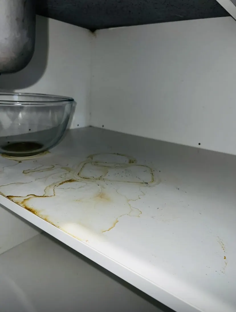 Kitchen cupboard shelf marked with sticky brown spill rings before an end-of-lease clean